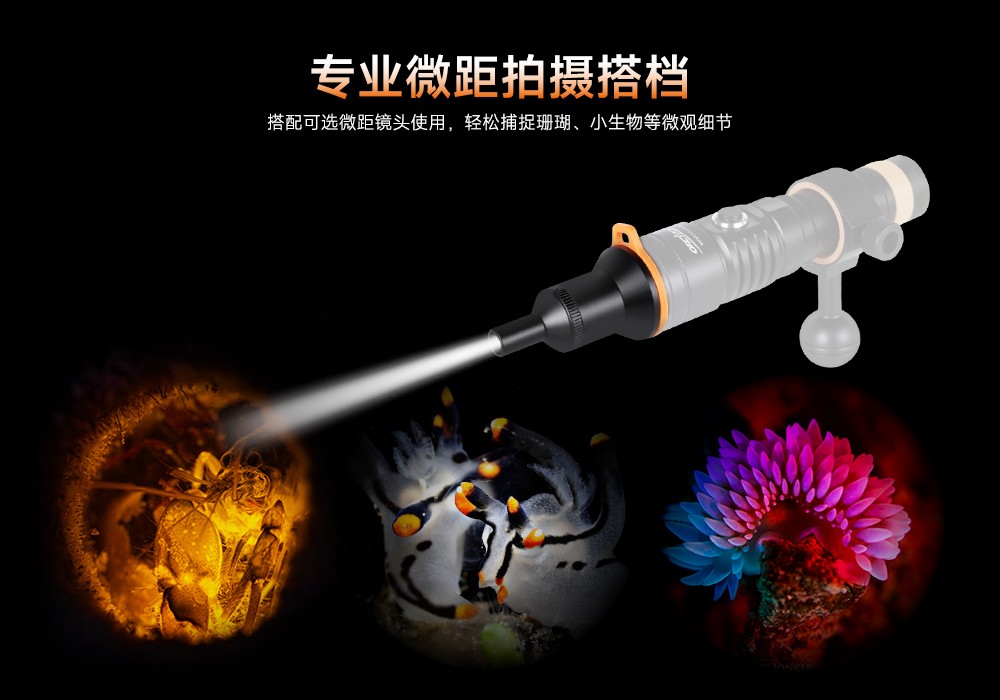 潛水攝影補光燈(dēng),水下攝影燈,水(shuǐ)下攝影照明,水下攝影三色燈,專(zhuān)業(yè)潛水燈(dēng),草莓视频官网OrcaTorch,攝影(yǐng)補光燈